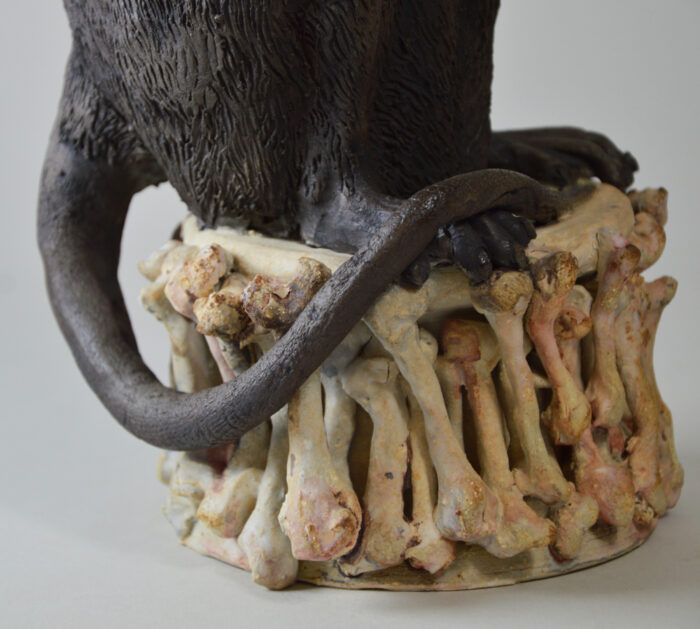 Rat #25-3 – Image 8