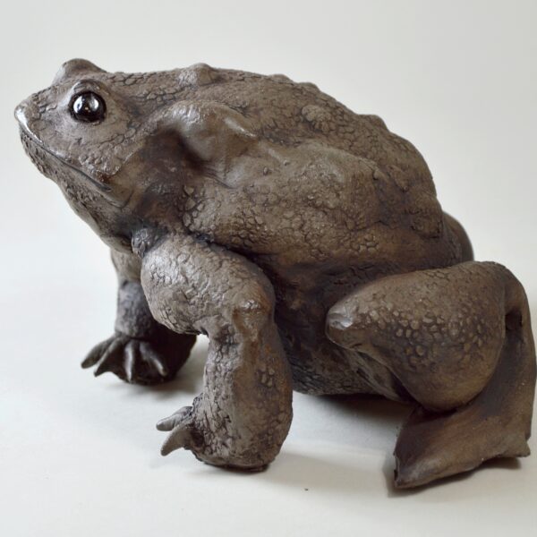 Crapaud #25-6