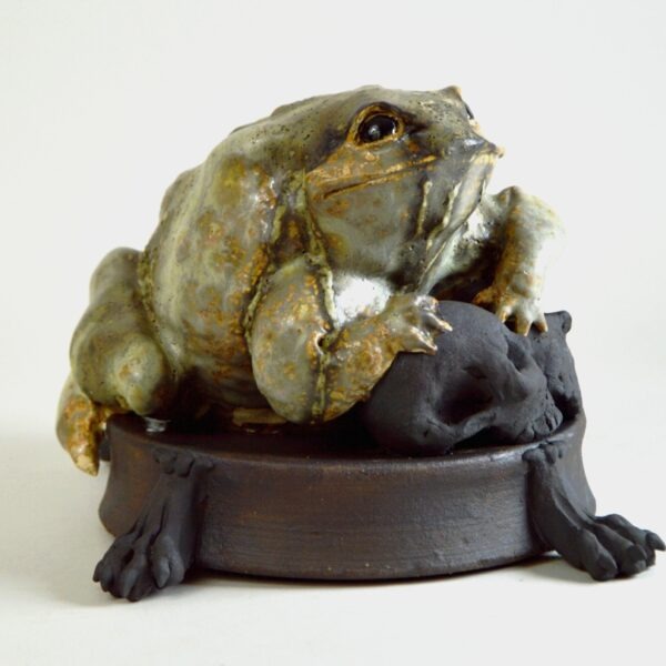Crapaud vanité #26-4