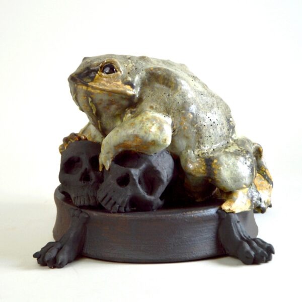 Crapaud vanité #26-4