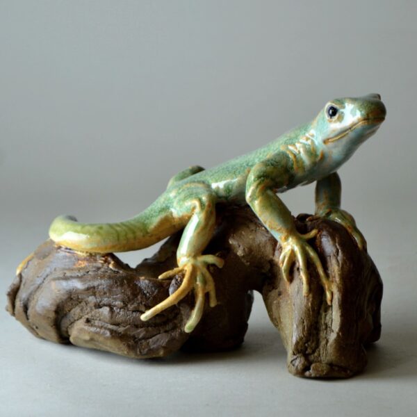 Lézard