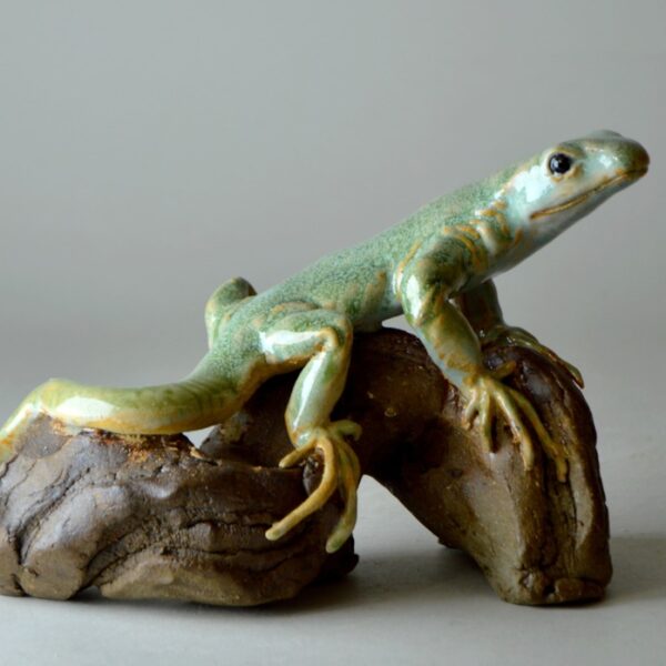 Lézard