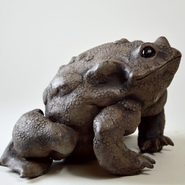 Crapaud #25-6