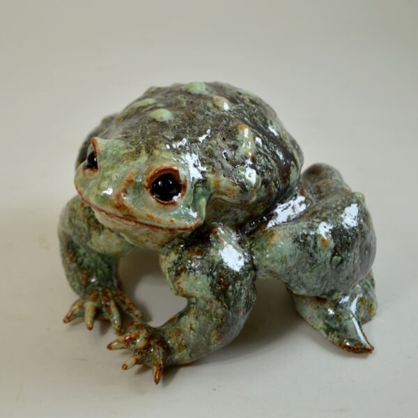 Crapaud #25-9