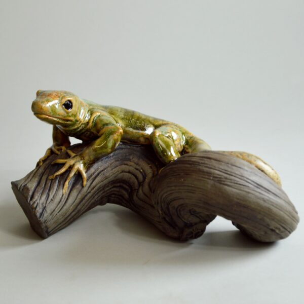 Lézard