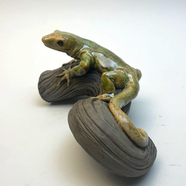 Lézard