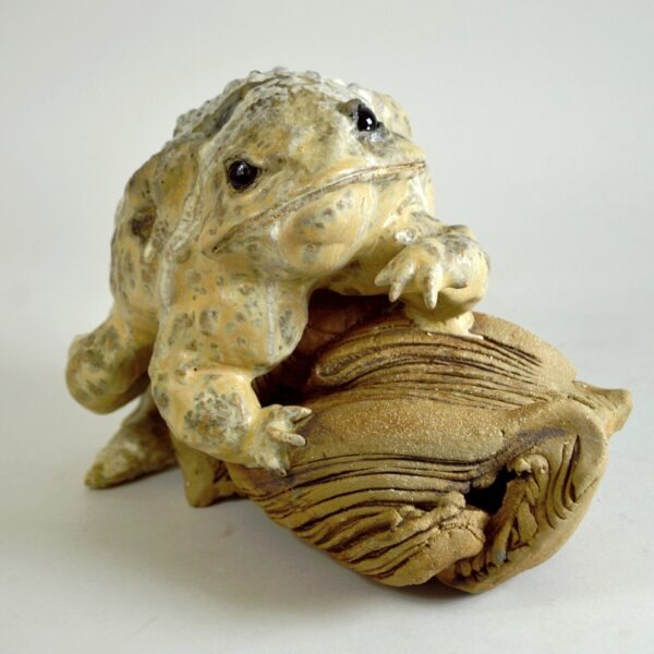 Crapaud #26-5