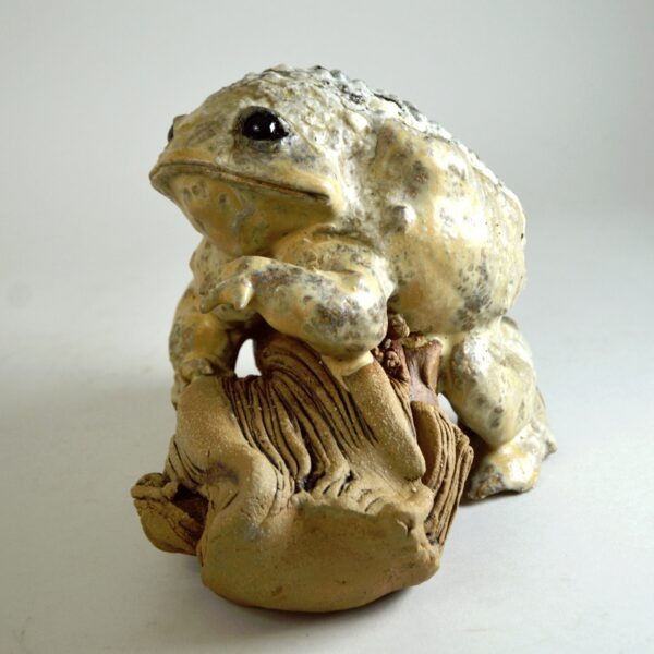 Crapaud #26-5